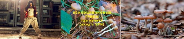 ALPHA-PVP Балахна