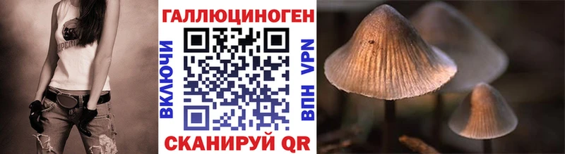 закладки  Миасс  Галлюциногенные грибы Psilocybe 